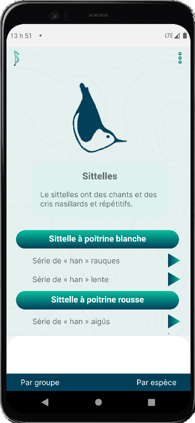 Saisie d'écran de l'appli Cardinal montrant le groupe des sittelles