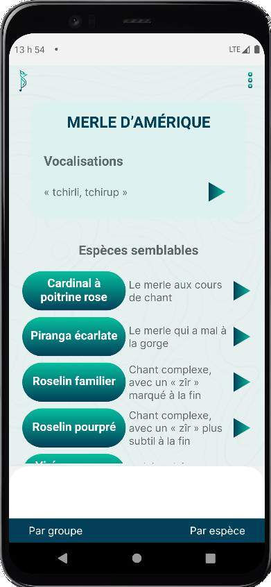 Saise d'écran de l'appli Cardinal montrant le merle d'Amérique et les espèces aux chants similaires